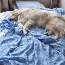 허그미동물병원 이미지