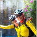 시흥대교 이미지