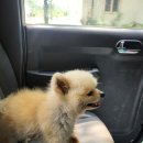 삽시도팬션나라 | [삽시도] 충남 보령 삽시도 여행기_#삽시도펜션나라