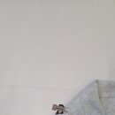 무드핏 | 로엔 roen 밴딩팬츠 힙한 무드 와이드핏 착용 후기