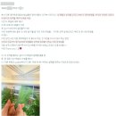 목동이언어학원