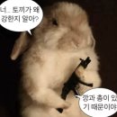누도 이미지