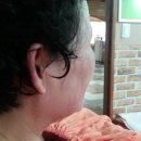 고봉산재래한증막 이미지