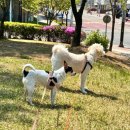 뚜랑이네 놀이방 이미지