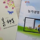 백세시대하나로