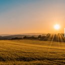 영주목장 이미지