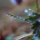 자연과 나 이미지