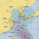 다도해슈퍼 동아일보