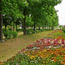 장자호수공원 이미지