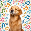 큰꿈 행정사 사무소 이미지