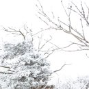 태백산 이미지