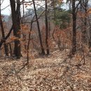 원주굽이길 원5코스 간현봉길 이미지