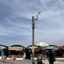 연화리물양장2(여성전용) | 부산 기장 연화리 해녀촌 순이와옥이 방문 후기 여기만 전복구이 나옴 내돈내산 너무맛있다