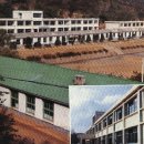 창호초등학교 이미지