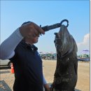 말봉바다낚시터 이미지