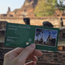 씨(SI) | 아유타야 선셋 투어 후기 겸 방콕 여행 셋째 날 일기