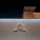 독채 애견스테이 이미지