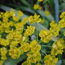 내린천펜션계곡사랑 이미지