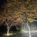 구월4동-24 | 제대로 된 인생 상담을 원하신다면? 구월동점집 [천상명두동자] 후기