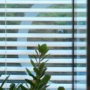 토마토치과의원 이미지