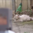 나비동물병원 이미지