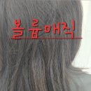해르헤어