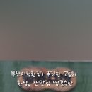 땅콩수산 이미지