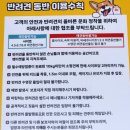 라그릴스 | 용인바베큐 라그릴스 캠핑 분위기 제대로! 가족들이랑 힐링 애견동반
