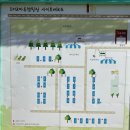 DMZ 마루 캠핑 | 경기도 연천 깔끔하고 조용한 캠핑장 추천 DMZ 마루캠핑 후기 예약방법