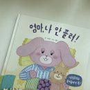 (주)모비아넷 | 베스트슬립 엘라비아S5+일룸 쿠시노 내돈내산 침대구매후기