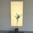 대구광역시 중구청 | 대구 동인동 카페 도화지, 중구청 근처 숨은 분위기 좋은 카페