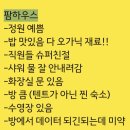 해피건강팜 | 세렝게티 응고롱고로 팜하우스(Ngorongoro Farm House) 숙소 후기 (힐링 그 자체)