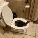 항도외과의원 이미지