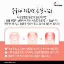 레푸스MS 이미지