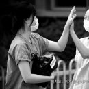 상록수슈퍼 이미지