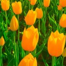 화목행정사 이미지