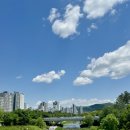 서초 장어타운 | 서울 교대역 서초역 장어 맛집 :: 서초장어타운 장어구이 장어탕 후기!