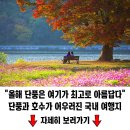 가을꽃 여행지 이미지