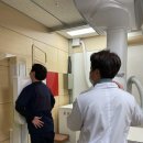 금자탑