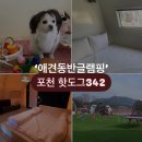 342 | 애견동반글램핑 부대시설 총정리(가격포함)ㅣ 포천 핫도그342 찐내돈내산 후기