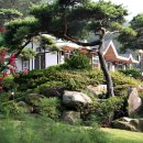 쉼이있는자유 이미지