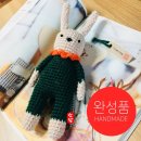 코코소담