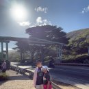 오션투어 | 호주 멜버른 여행 시내코스 그레이트오션로드 투어 후기