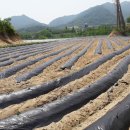 앙성면사무소 이미지