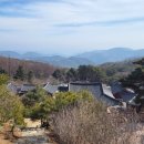 심원사 입구 이미지