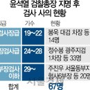 🎂[서초동 野壇法席] 댓글수사·특별검사·적폐수사팀 어디갔나 보니 이미지