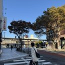 29170-2-A-36 | [벳푸->유후인] 벳푸에서 유후인 가는 법 /36번 버스, 시간표, 탑승위치, 가격, 소요시간 /내돈내산