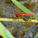 곡성 월봉 이미지