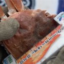 장어야 대게야 이미지