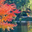 매일온천 이미지